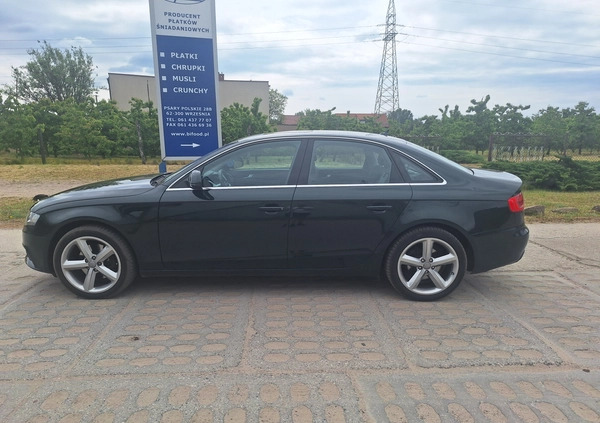 Audi A4 cena 37500 przebieg: 249000, rok produkcji 2008 z Września małe 67